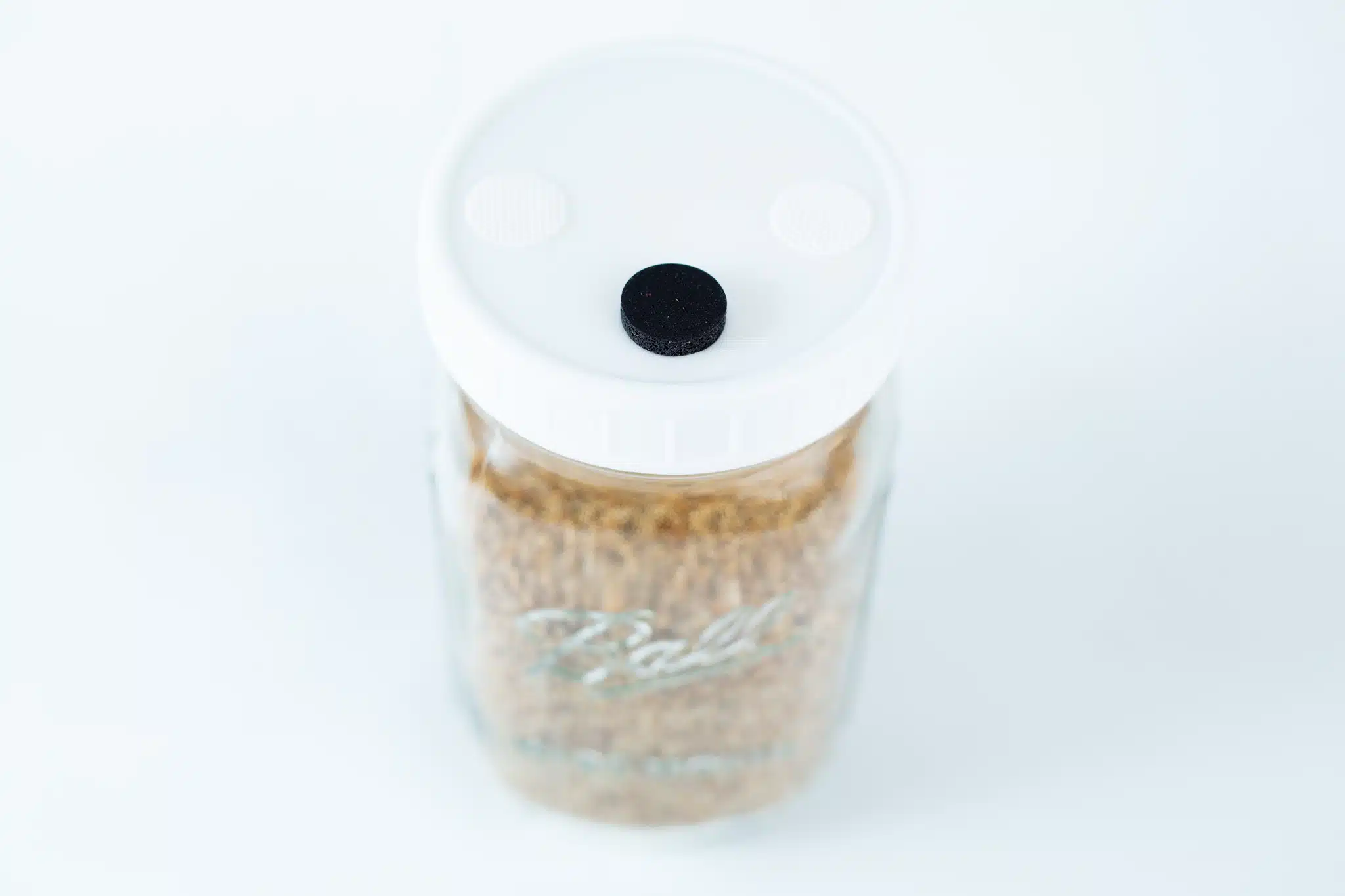 The Grain Jars Ball 1L Pre-Sterilised with a white lid and black centre dot comes filled with organic millet and rye grains in a reusable jar.