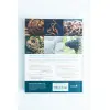 Medicinal Mushrooms The essential guide Back View