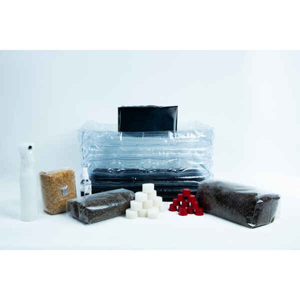 Millet Monotub Mushroom Growing Kit with casing