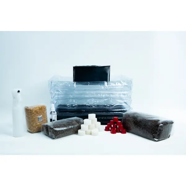 Millet Monotub Mushroom Growing Kit with casing