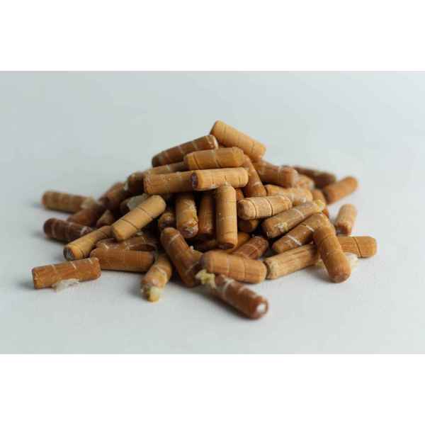 Log Dowel Mushroom Plug  Spawn  | Native Australian Shiitake | Lentinula lateritia - Image 2