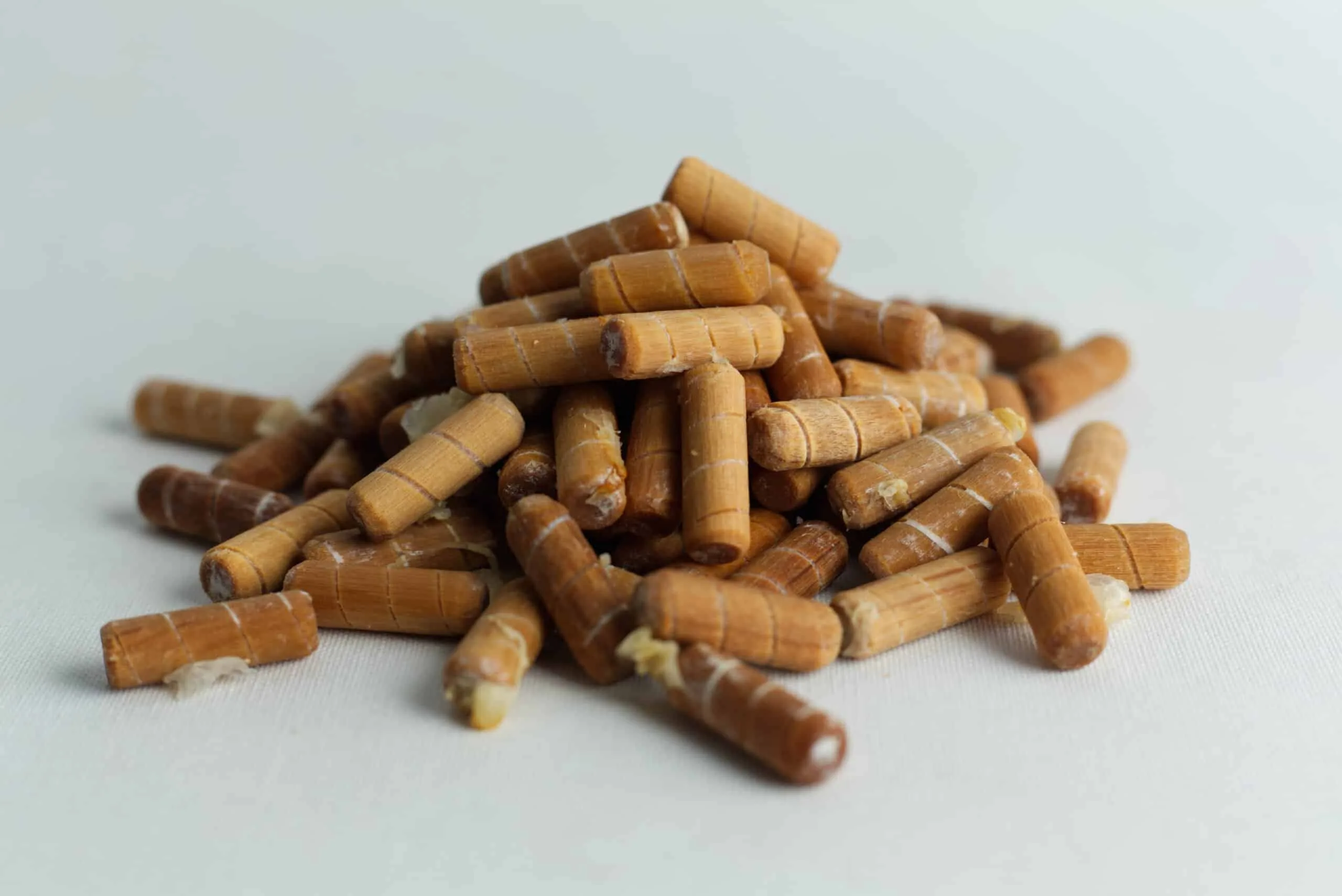 A pile of Log Dowel Mushroom Plug Spawn (Yellow Oyster, Pleurotus citrinopileatus) on a white surface.