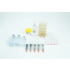 Spore Print to Spore syringe transfer Kit