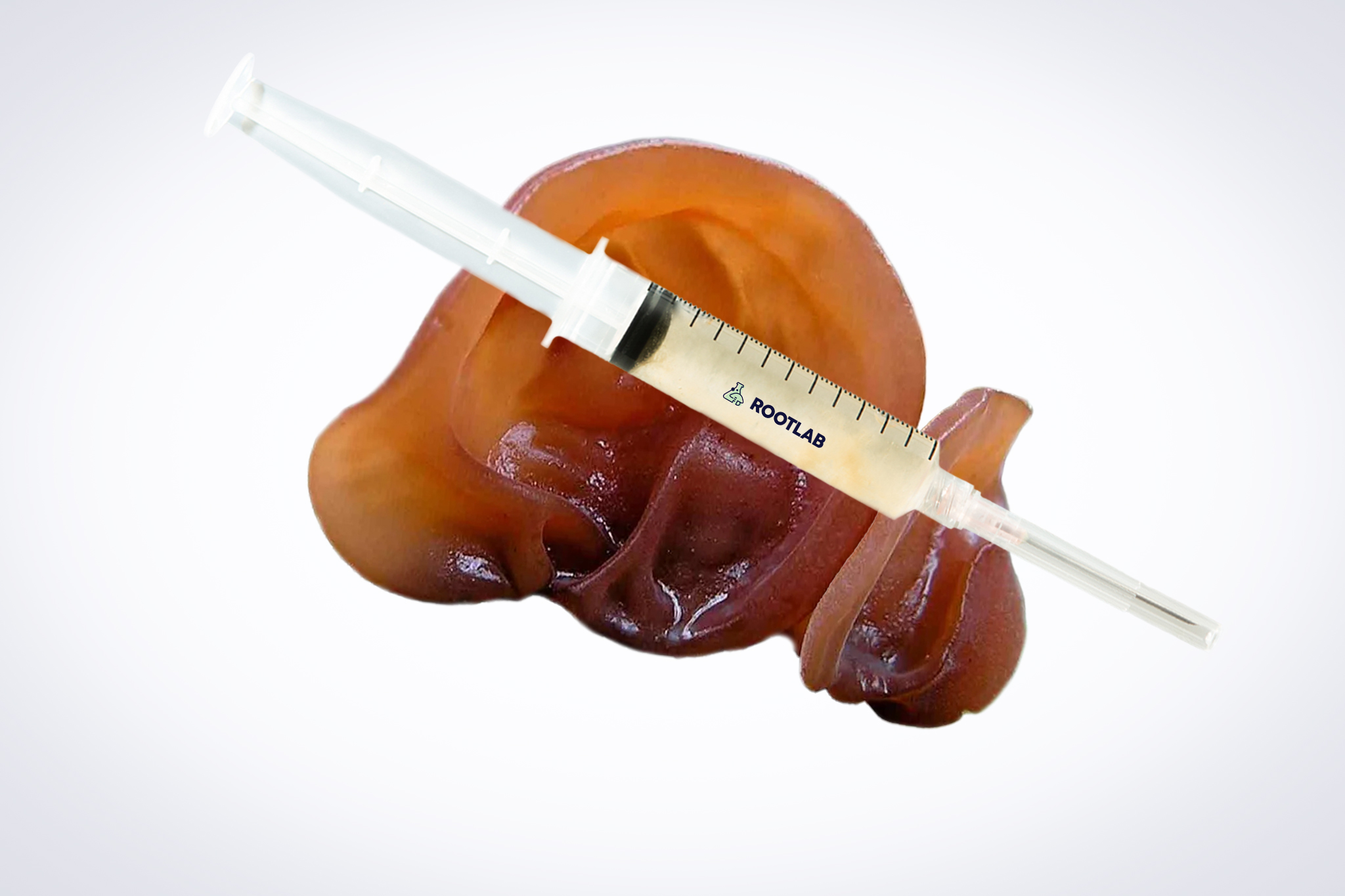 Mushroom Liquid Culture | Wood Ear | Auricularia auricula-judae 1 A syringe of Mushroom Liquid Culture | Wood Ear | Auricularia auricula-judae sits atop a human liver model.