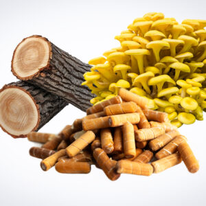 A vial of Mushroom Liquid Culture | Yellow Oyster (Pleurotus citrinopileatus) is arranged with two tree logs and brown supplement capsules on a white background.