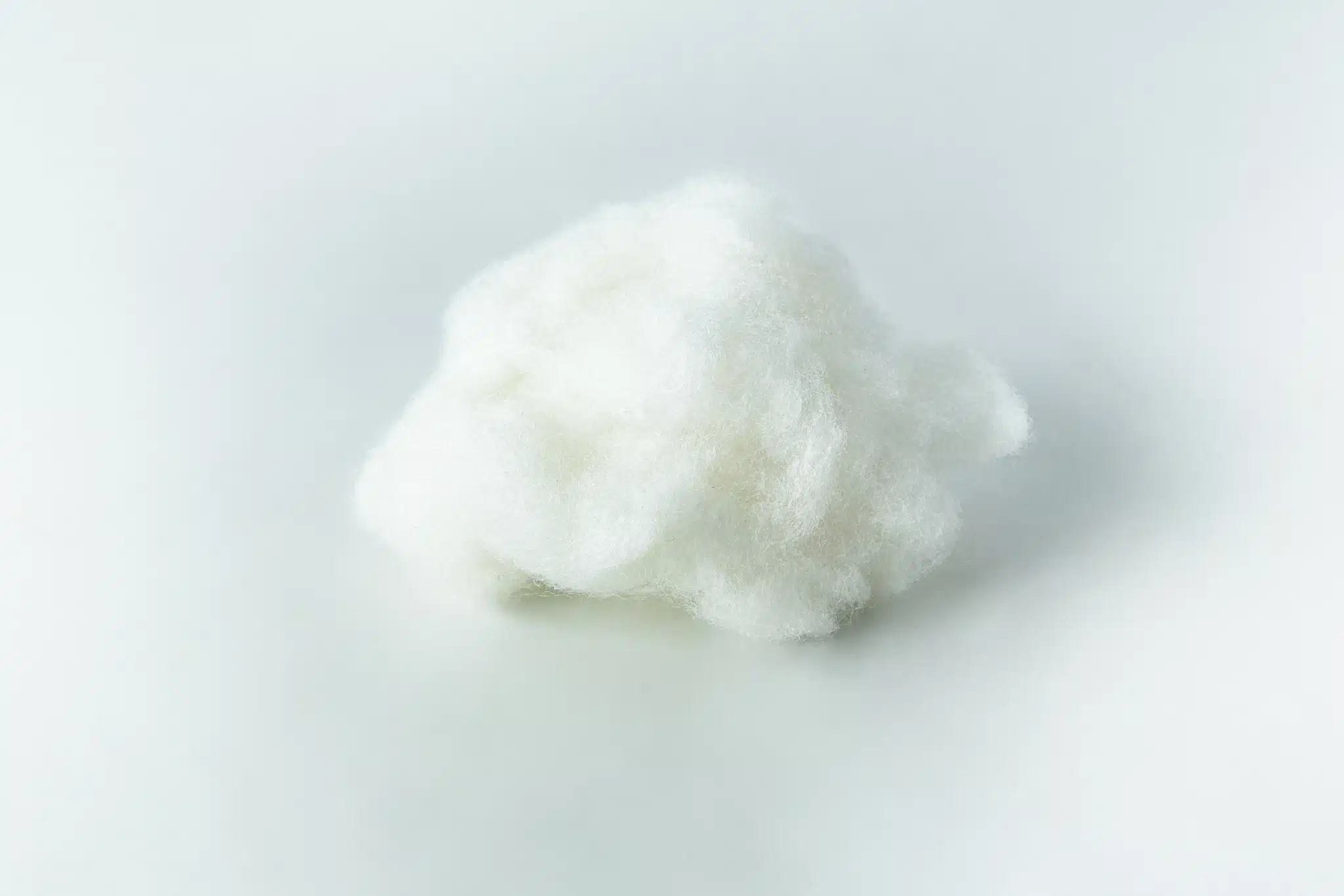 A small, fluffy white ball of cotton against a plain white background.