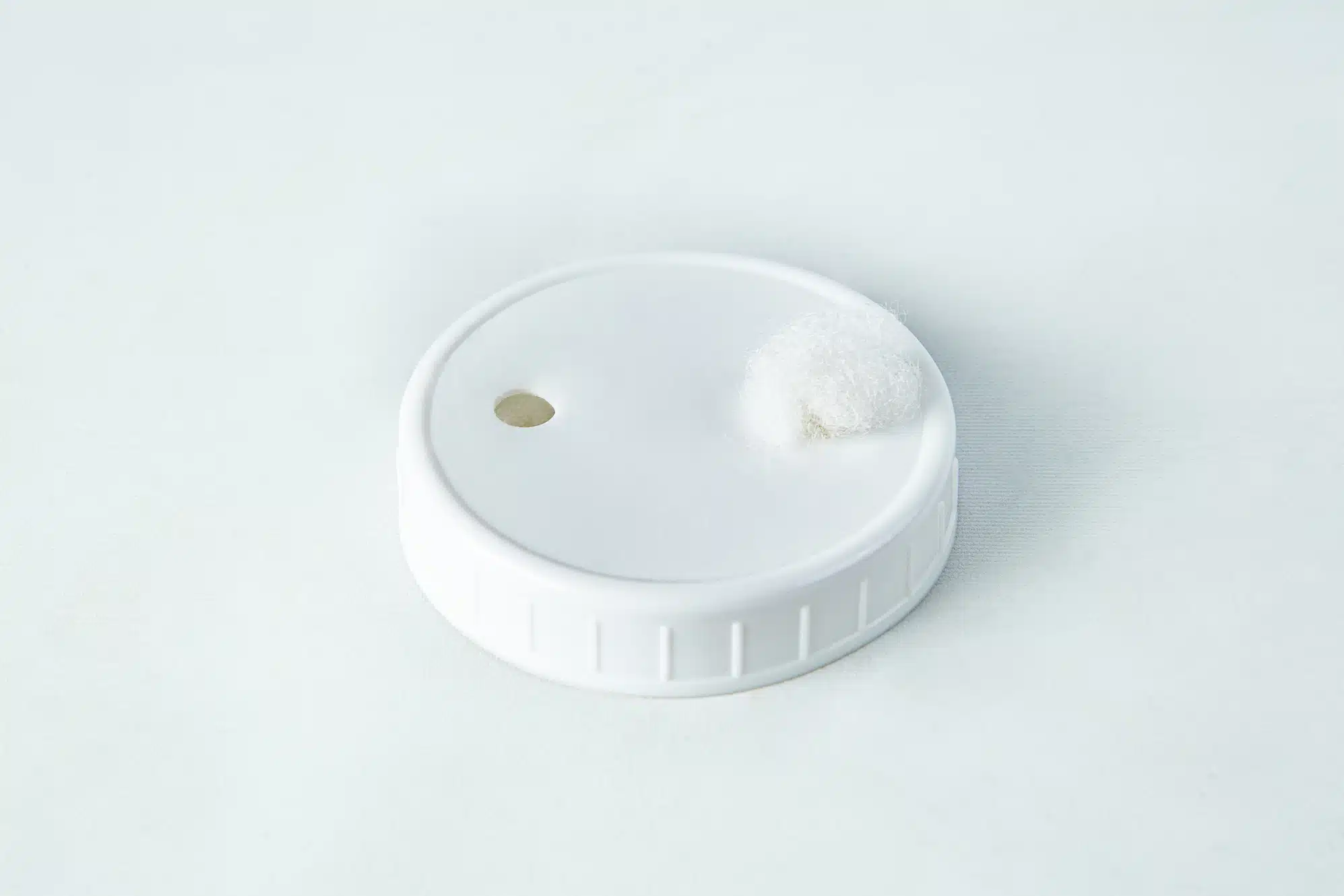 A white plastic cap with a small round object.