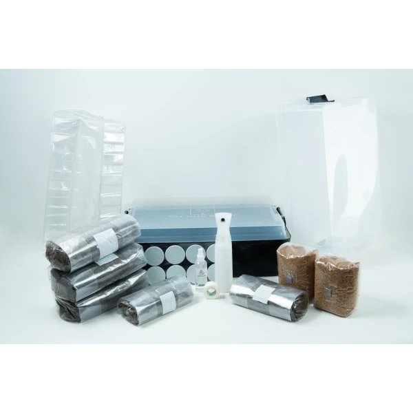 Max yield bin Kit with substrate and Millet, Stackable lid with casing