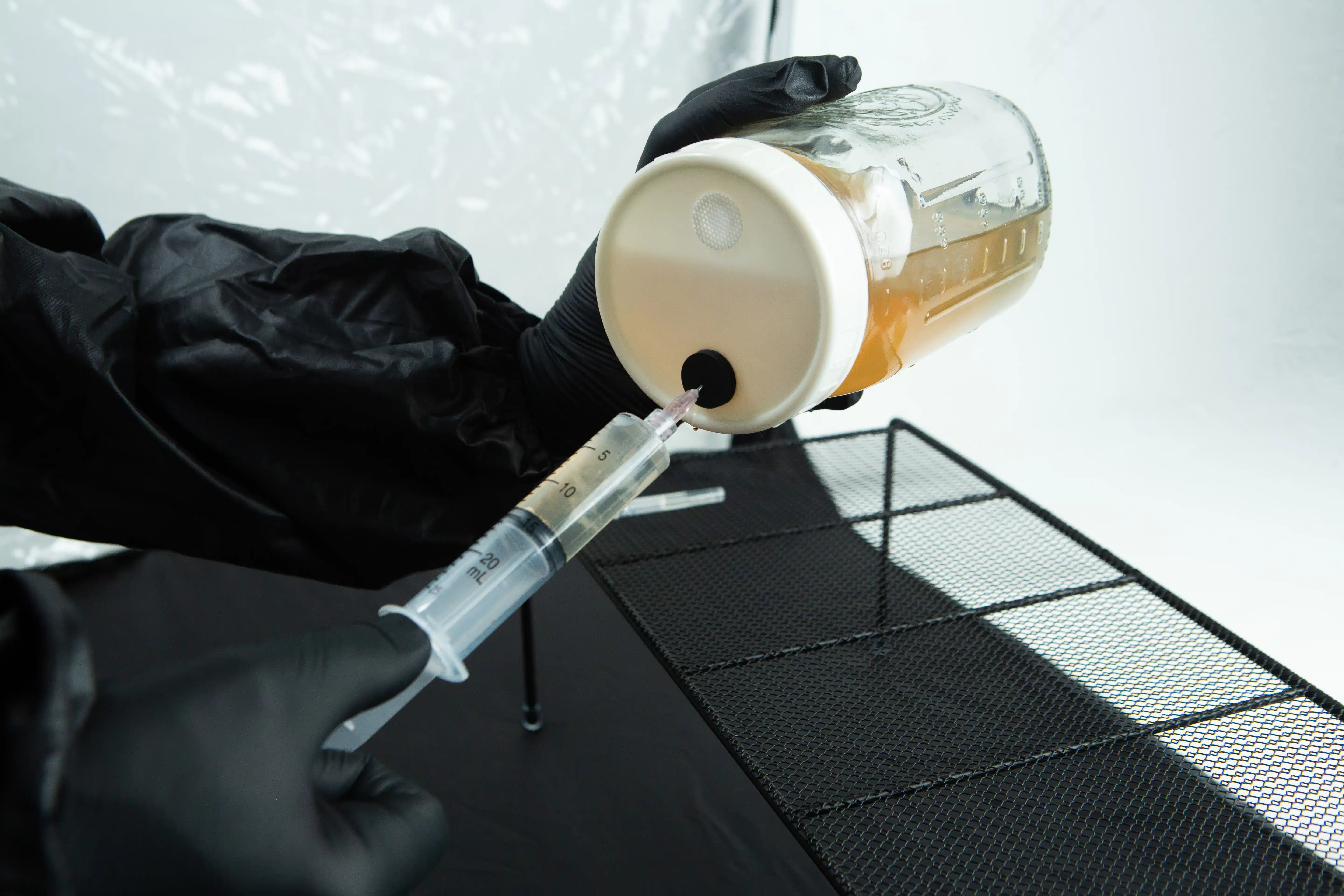 Gloved hands draw liquid from a glass jar with a syringe through a rubber port in the lid.
