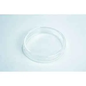 A clear, empty glass Petri dish on a white surface.