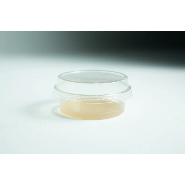 Biodegradabe Agar cup single