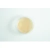 Biodegradabe Agar cup single up
