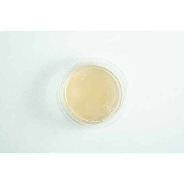 Biodegradabe Agar cup single up