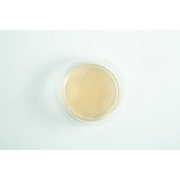 Biodegradabe Agar cup single up