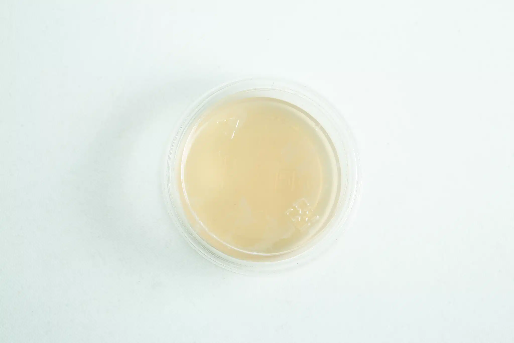 Biodegradable Agar Cups (MEA | MEAG) filled with light brown liquid, shown from above on a white background.
