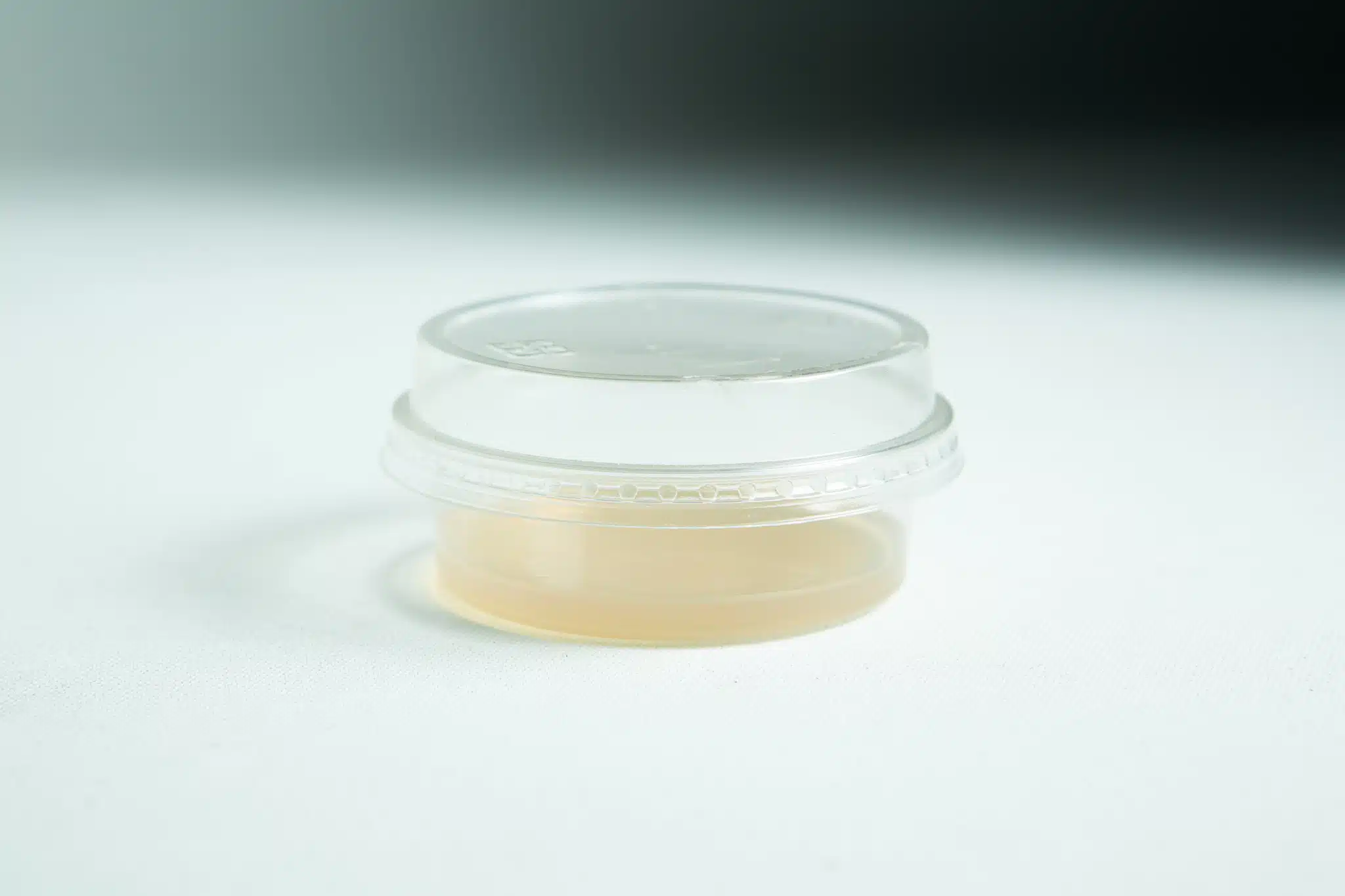 A small, clear Biodegradable Agar Cup | MEA | MEAG with a lid, containing light beige liquid (MEA), sits on a white surface.