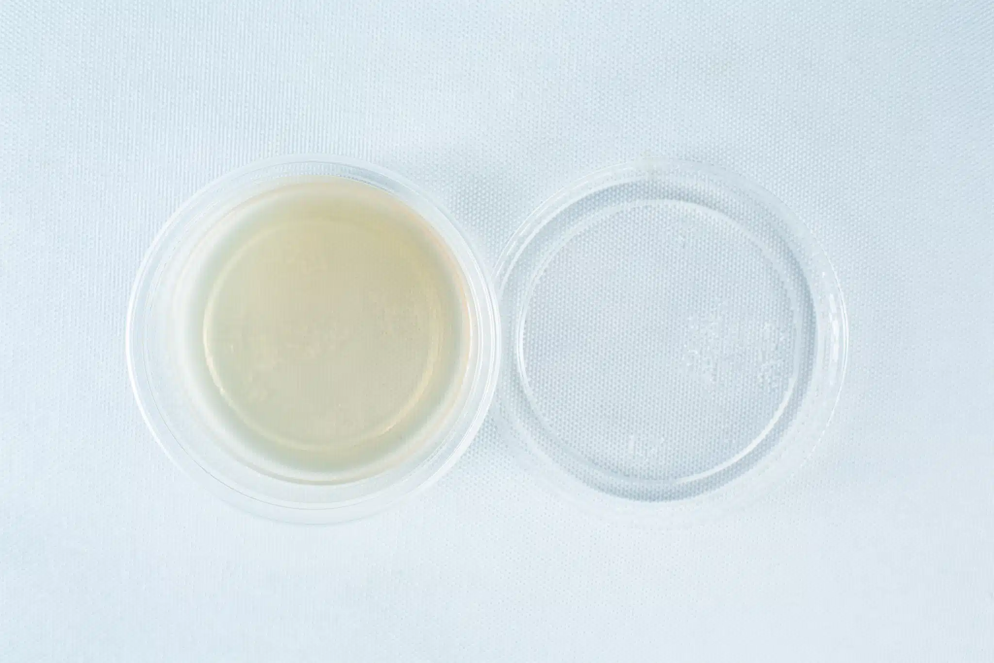 A clear plastic container with a lid, filled with a light yellow liquid, on a white surface.