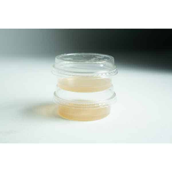 Stackabe Biodegradabe Agar cup