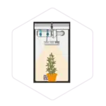 Illustration of a potted plant growing under a grow light inside a small indoor grow box with ventilation, featuring mushroom farming supplies from Mushroom Supplies Australia.