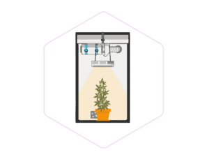 Greenhouse & Hydroponics