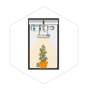 Greenhouse & Hydroponics