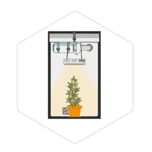 Greenhouse & Hydroponics