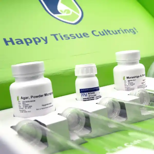 Tissue Formation Kit Plant Cell Tissue Culture Starter Kit | Rootlab
