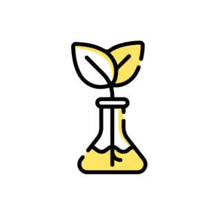 A yellow laboratory flask with a plant stem and two leaves growing from its top, symbolising innovation in Mushroom Supplies Australia.