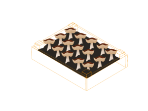 DIY Growing Kit png 01