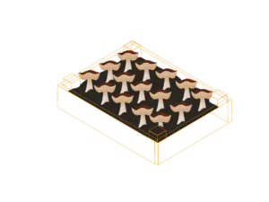 Illustration of mushrooms growing in a rectangular container with an orange outline on a white background, perfect for showcasing mushroom growing supplies.