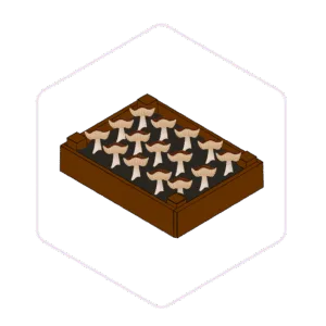 Mushroom Garden Bed Kit