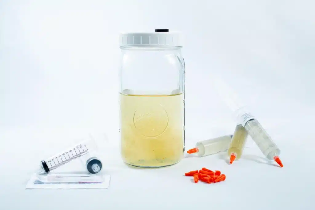 WhatsApp Image 2025 01 23 at 3.14.46 PM 1