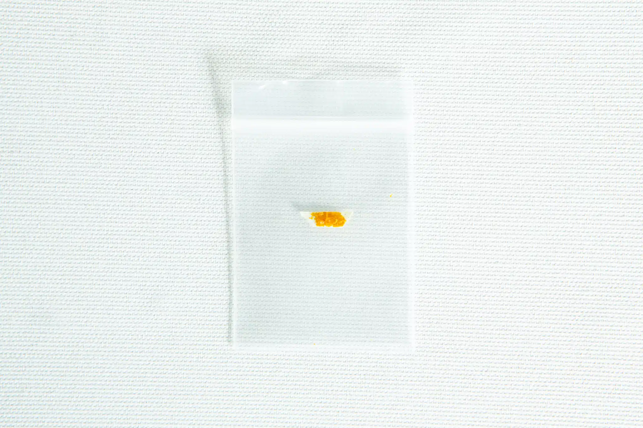 A small clear plastic bag containing a bit of yellow substance from the Slime mould kit – Physarum polycephalum rests on a white textured background.