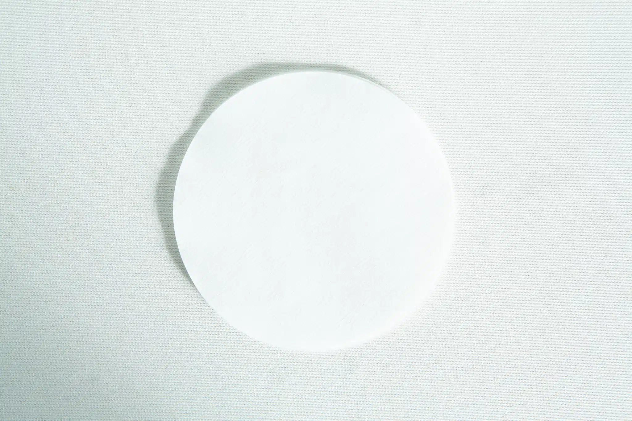 A white cotton pad from the Slime mould kit - Physarum polycephalum sits on a textured, light surface.