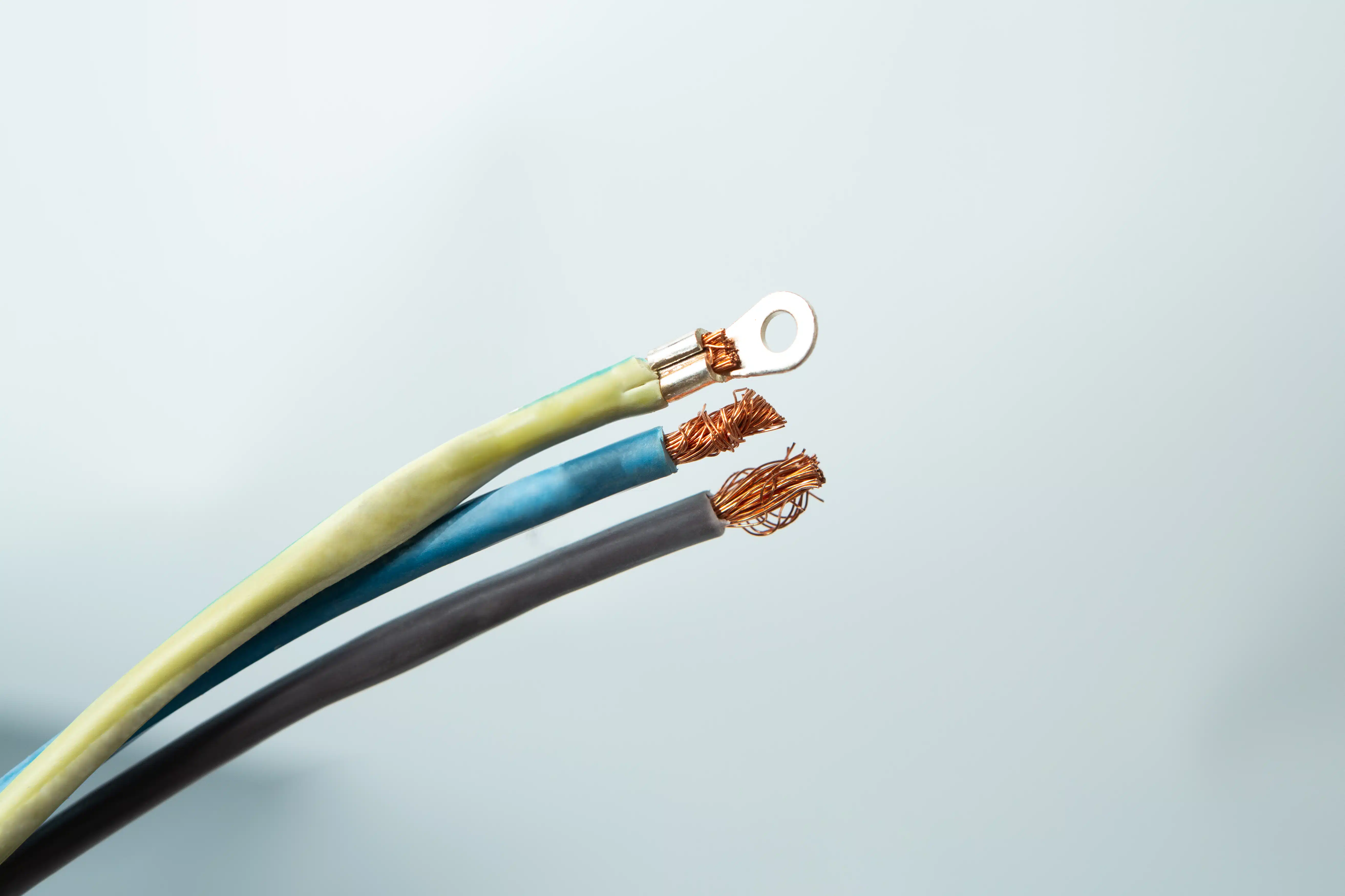 Vertical Autoclave 150 Liters (Automatic) | Commercial use | 6KW 18 Three exposed electrical wires, one with a metal ring terminal, against a light grey background.