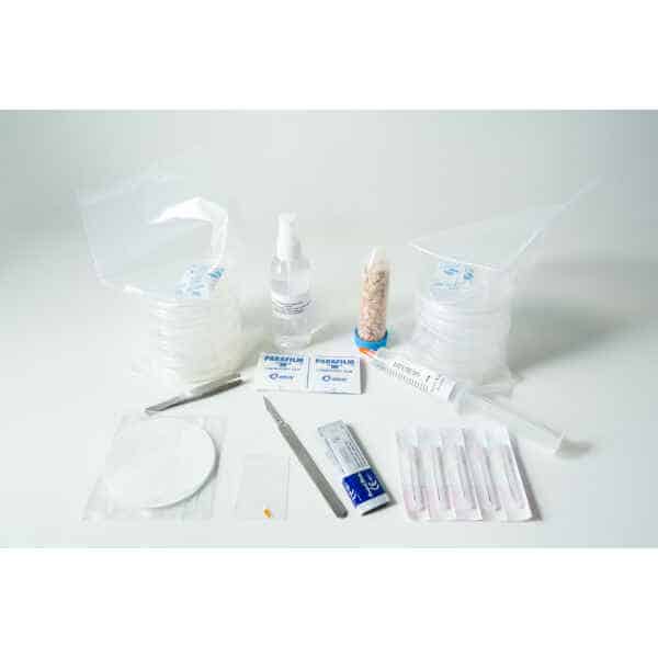 Slime mold kit