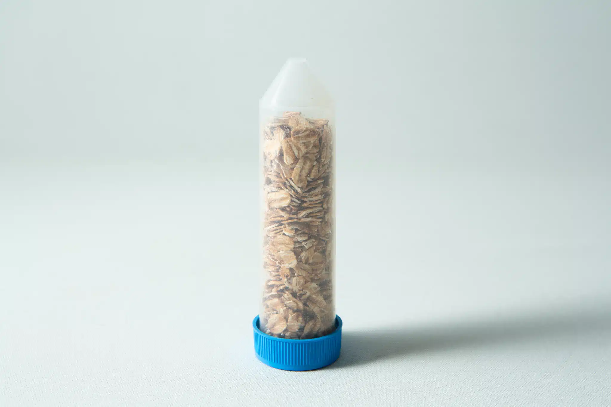 A clear plastic tube with a blue cap containing oat flakes, standing upright on a white surface—perfect for the Slime mould kit - Physarum polycephalum.