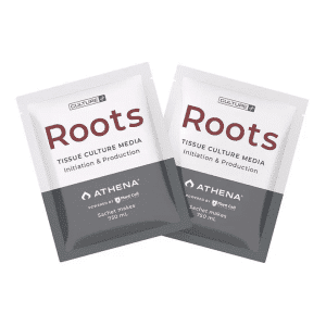 Plant Cell |Athena | RootsPackets