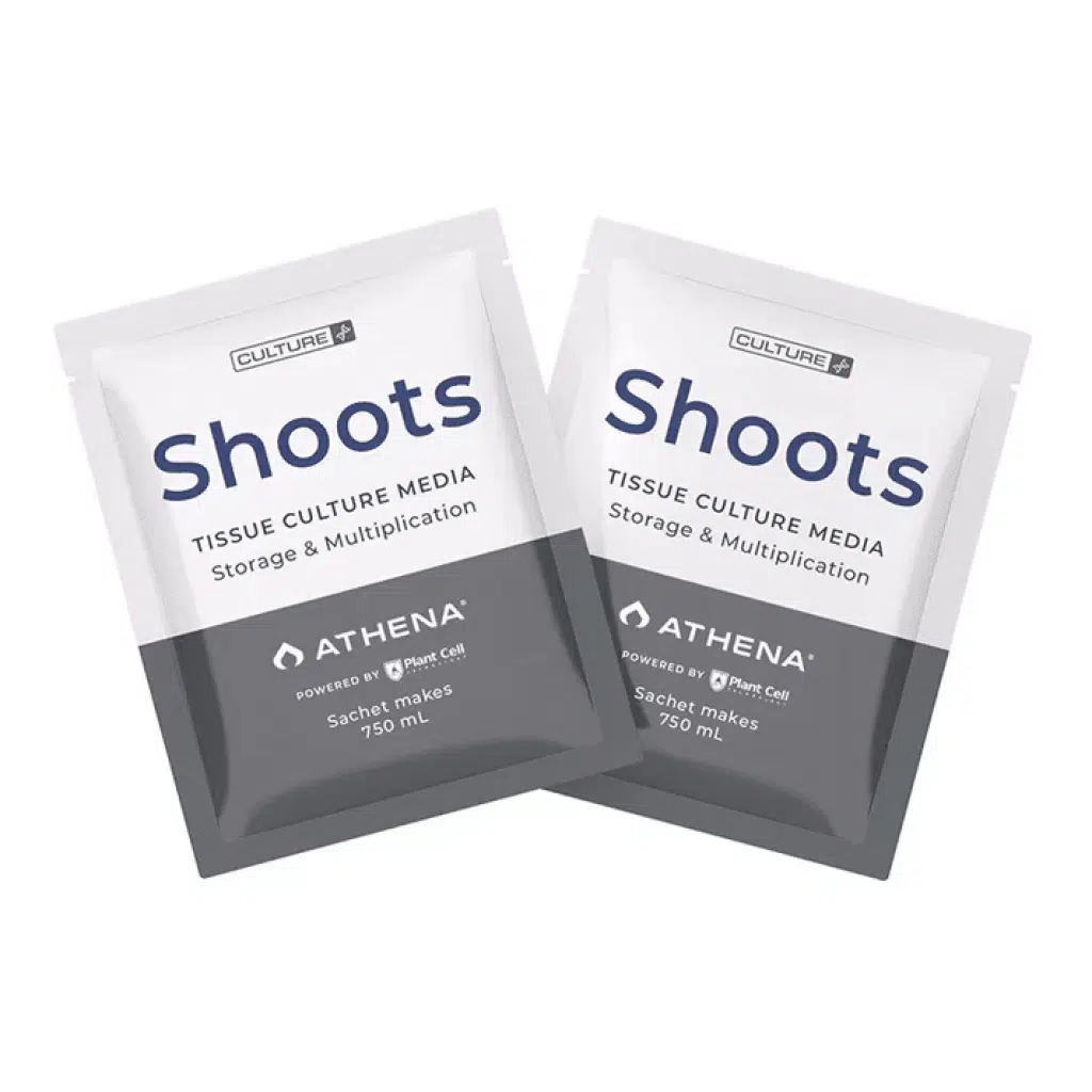 Box of 10 Plant Cell Shoots™ Tissue Culture Media by Athena, for storage and multiplication, 750 ml each.