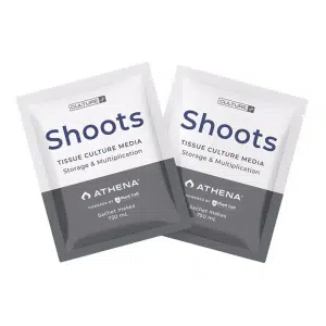 Box of 10 Plant Cell Shoots™ Tissue Culture Media by Athena, for storage and multiplication, 750 ml each.