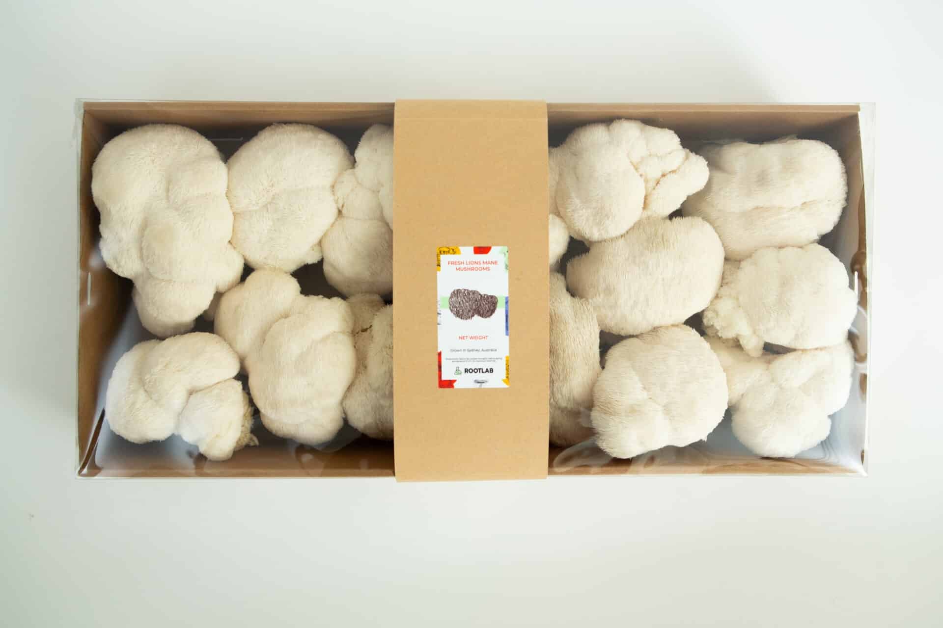 Mushroom Punnet | Fresh Lion's Mane Sydney | Pickup only 3 Fresh Lionโs Mane mushrooms in a clear mushroom punnet with a brown paper label, available for collection only in Sydneyโperfect for local food lovers.