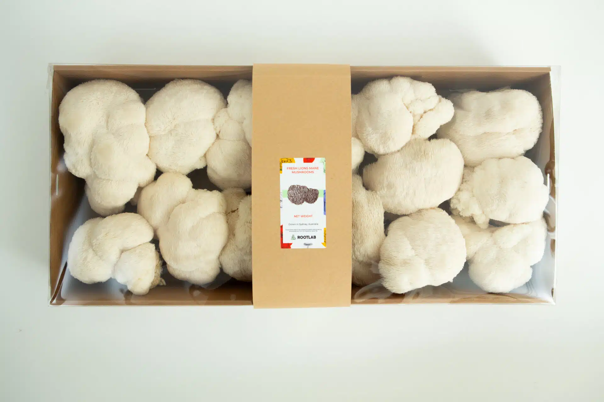 Fresh Lion’s Mane mushrooms in a clear mushroom punnet with a brown paper label, available for collection only in Sydney—perfect for local food lovers.