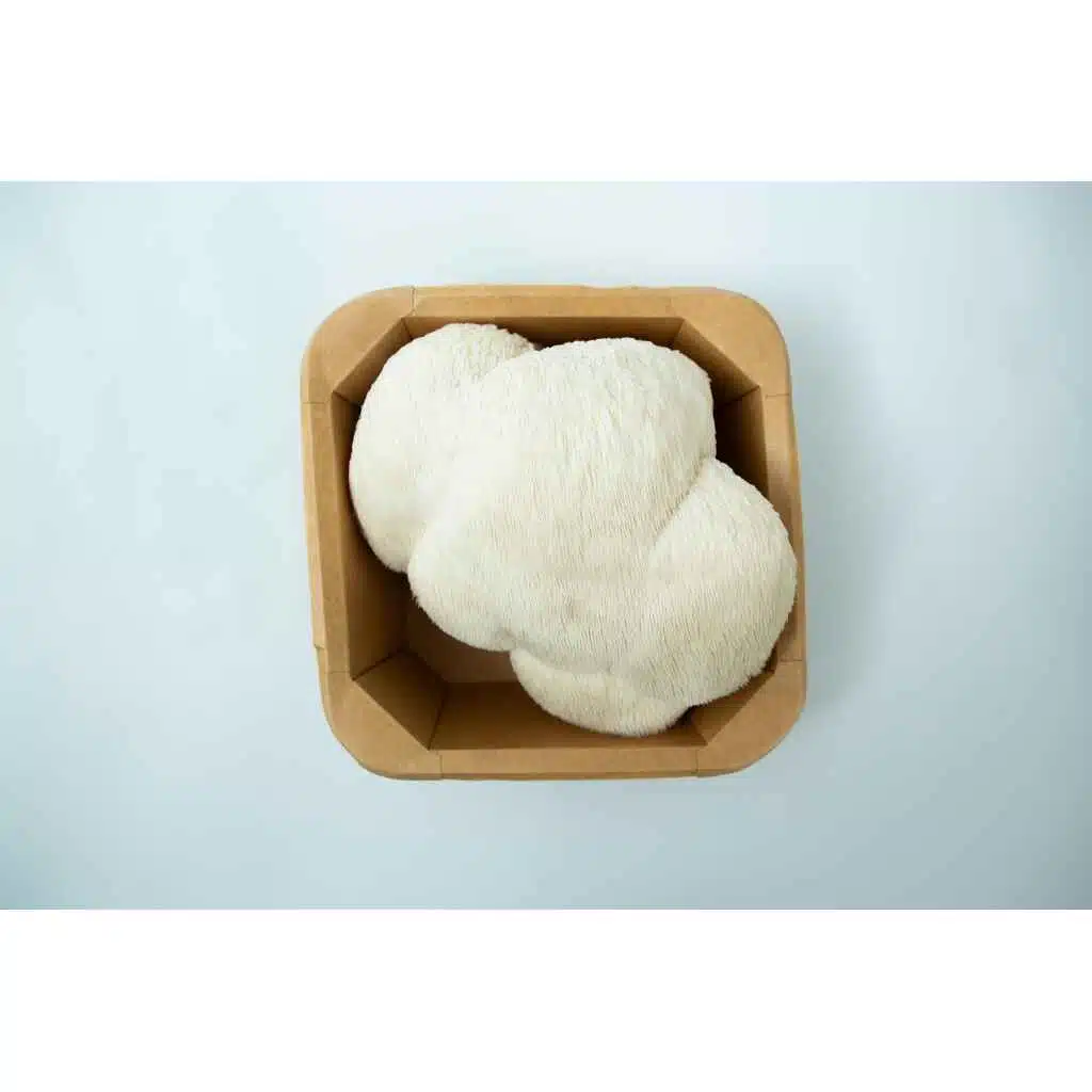 Mushroom Punnet | Fresh Lion's Mane Sydney | Collection only—fresh Lion's Mane mushrooms in a punnet, ready for Sydney foodies seeking top-quality produce.