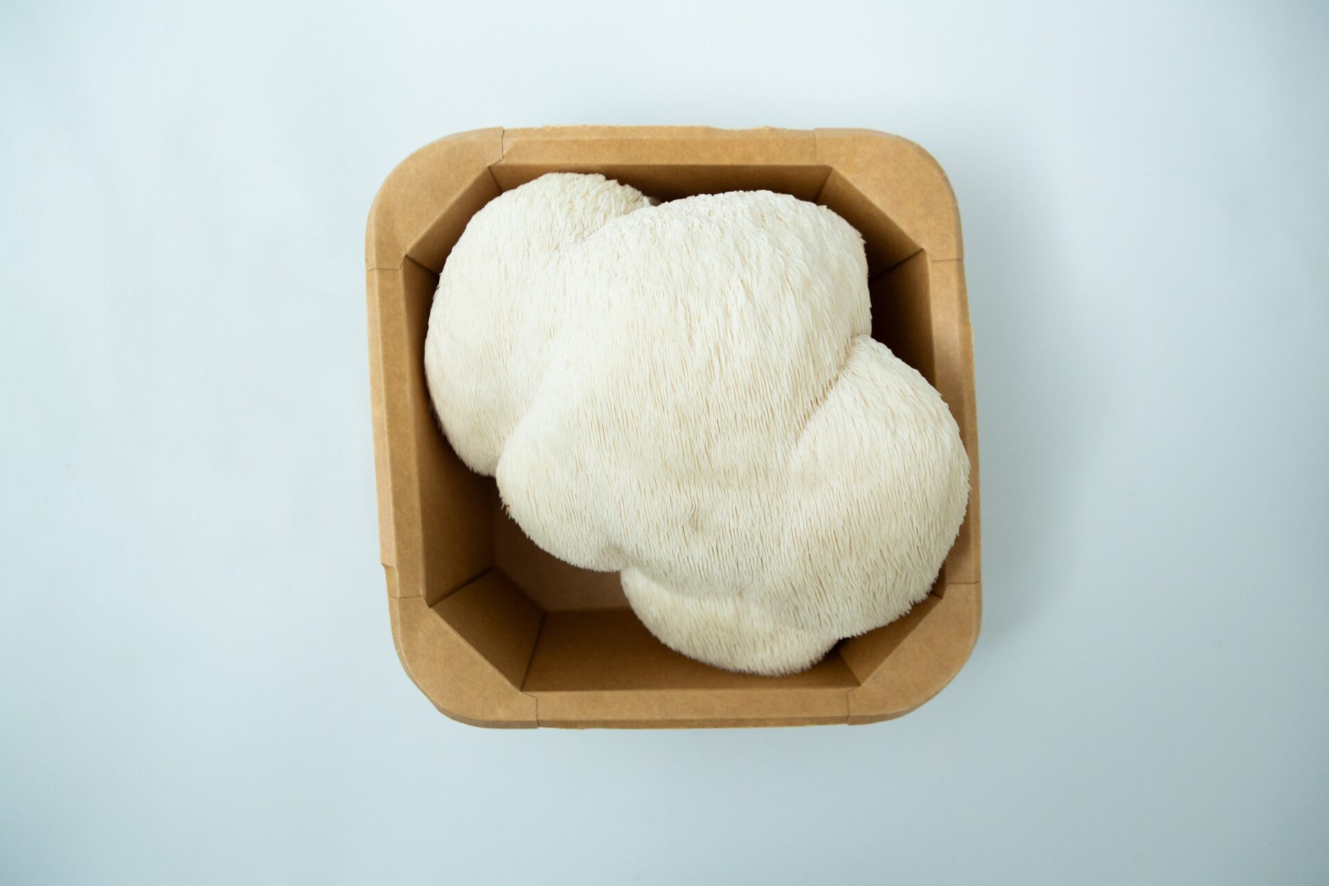 Mushroom Punnet | Fresh Lion's Mane Sydney | Pickup only 1 Mushroom Punnet | Fresh Lion's Mane Sydney | Collection onlyโfresh Lion's Mane mushrooms in a punnet, ready for Sydney foodies seeking top-quality produce.