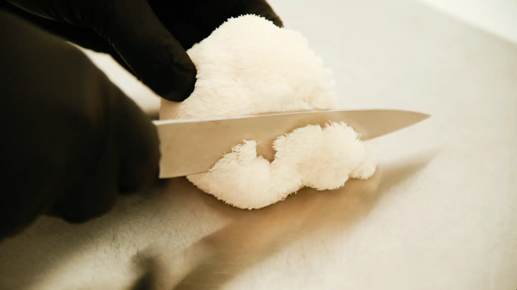 A person in black gloves slices an Australian-grown Freeze-Dried Lion's Mane Mushroom (whole or powder) with a knife on a chopping board.