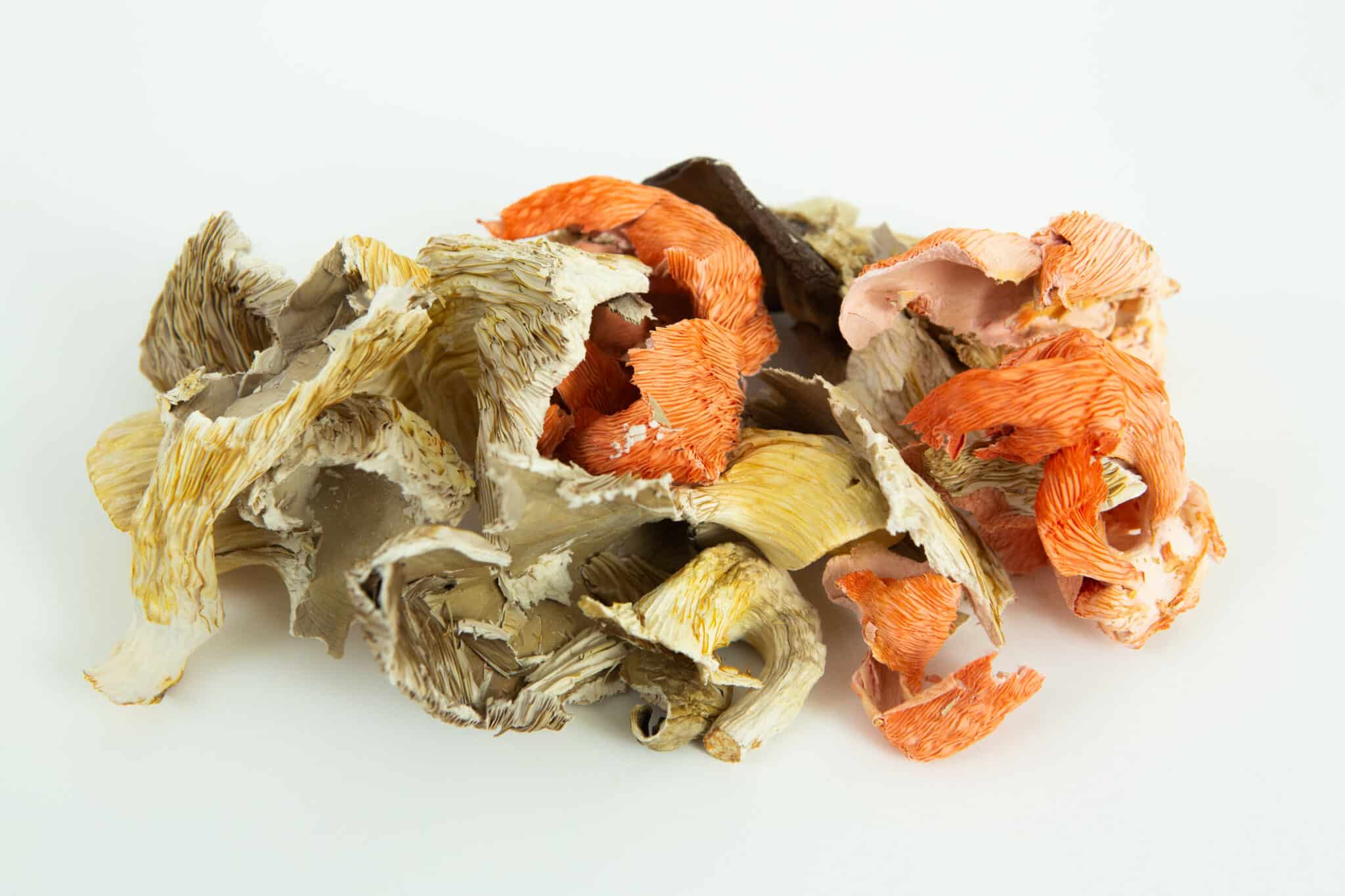 Dehydrated mixed Oyster Mushroom (Whole or powder) Australian grown 1 A pile of Dehydrated Oyster Mushroom in beige, orange, and brown shades on a white background.