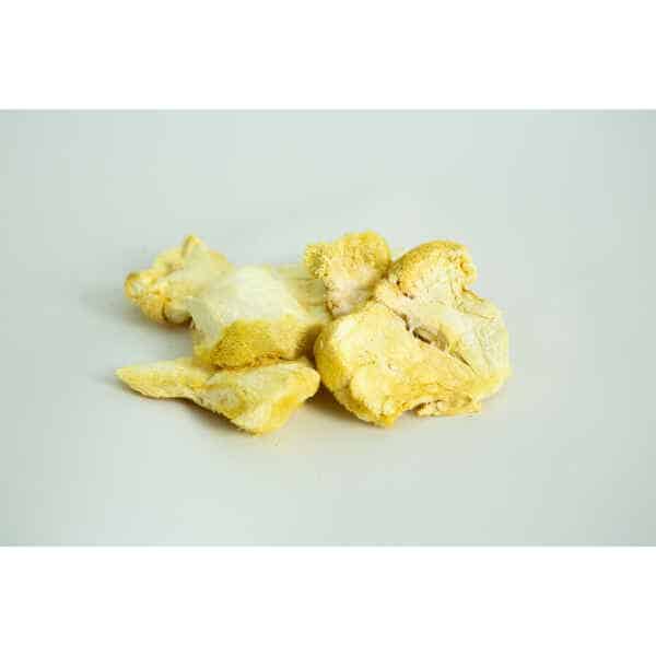 Slices of Freeze-Dried Mushroom Lion’s Mane displayed on a plain white background.