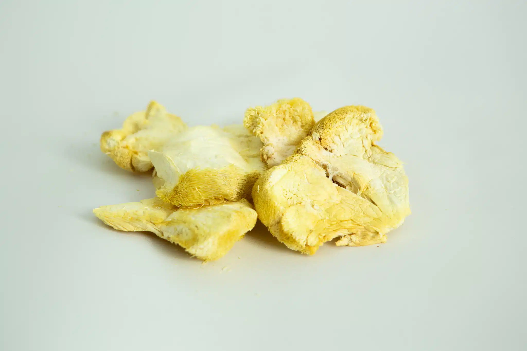 Slices of Freeze-Dried Mushroom Lion’s Mane displayed on a plain white background.