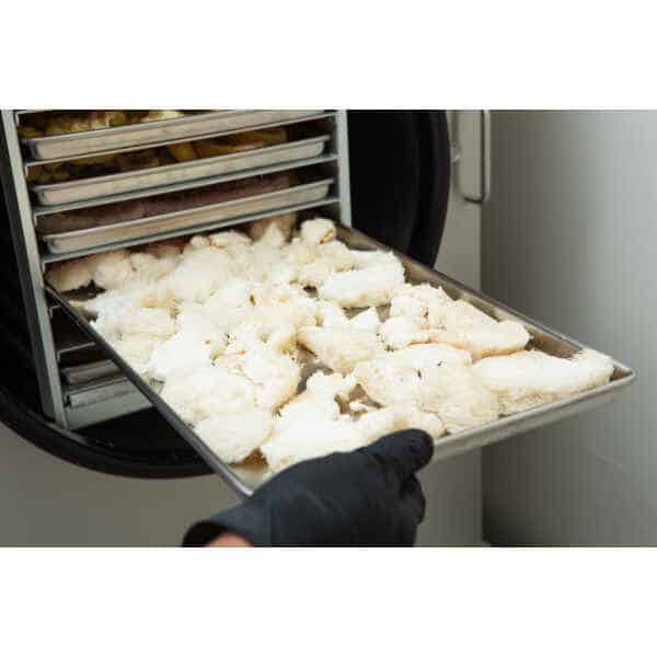 A gloved hand places a tray of white Lion's Mane mushrooms into a multi-tray freeze drier to produce Freeze Dried Mushroom Lion's Mane.