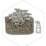 Block with spray with hexagon 01